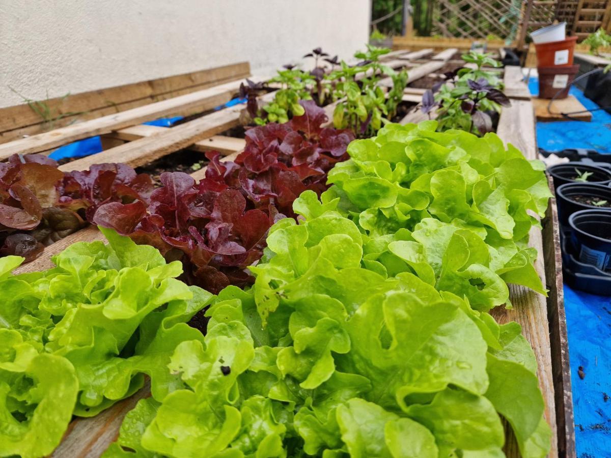 La Forestine Bergerac Eksteriør bilde